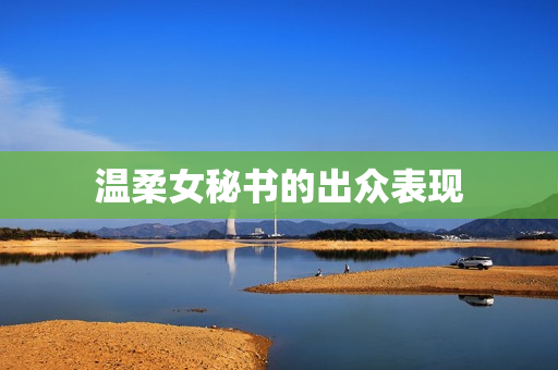 温柔女秘书的出众表现