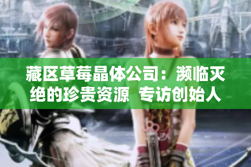藏区草莓晶体公司：濒临灭绝的珍贵资源  专访创始人