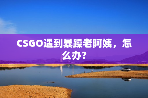 CSGO遇到暴躁老阿姨，怎么办？