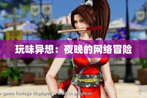 玩味异想：夜晚的网络冒险