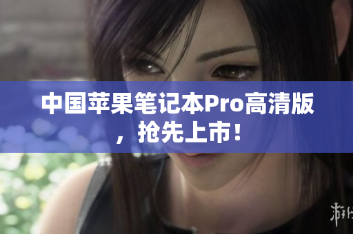 中国苹果笔记本Pro高清版，抢先上市！