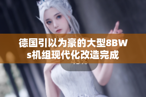 德国引以为豪的大型8BWs机组现代化改造完成