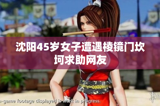 沈阳45岁女子遭遇棱镜门坎坷求助网友
