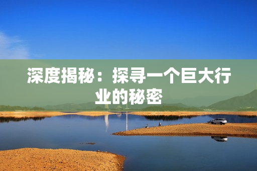 深度揭秘：探寻一个巨大行业的秘密