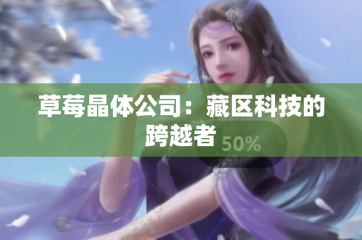 草莓晶体公司：藏区科技的跨越者