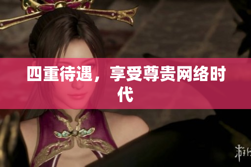 四重待遇，享受尊贵网络时代