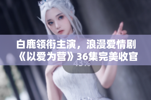白鹿领衔主演，浪漫爱情剧《以爱为营》36集完美收官，在线观看