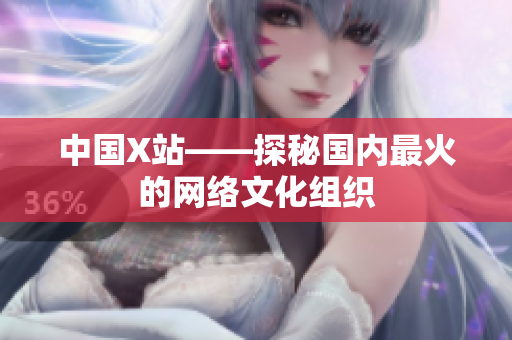 中国X站——探秘国内最火的网络文化组织