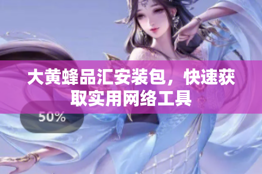 大黄蜂品汇安装包，快速获取实用网络工具