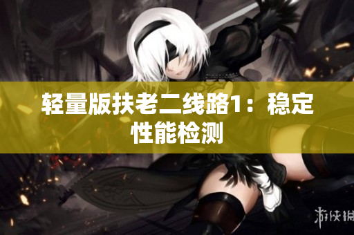 轻量版扶老二线路1：稳定性能检测