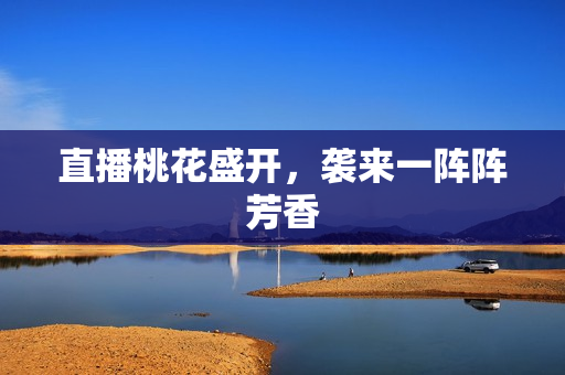 直播桃花盛开，袭来一阵阵芳香