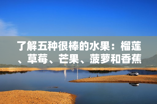 了解五种很棒的水果：榴莲、草莓、芒果、菠萝和香蕉