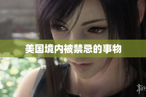 美国境内被禁忌的事物