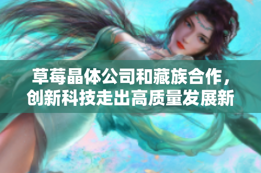 草莓晶体公司和藏族合作，创新科技走出高质量发展新路