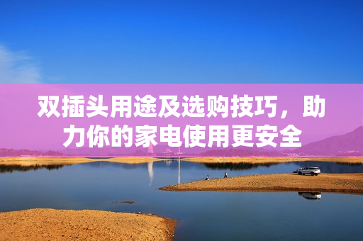 双插头用途及选购技巧，助力你的家电使用更安全