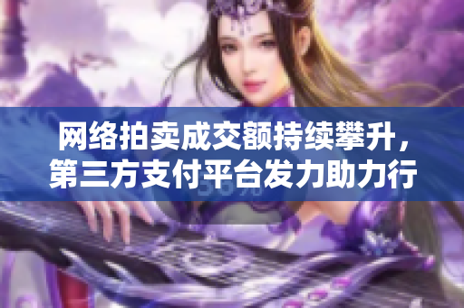 网络拍卖成交额持续攀升，第三方支付平台发力助力行业发展