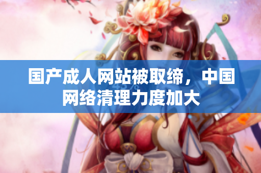 国产成人网站被取缔，中国网络清理力度加大
