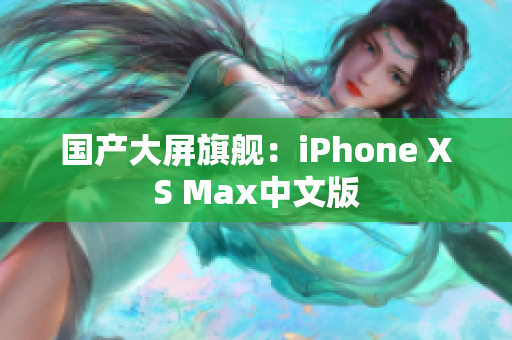 国产大屏旗舰：iPhone XS Max中文版