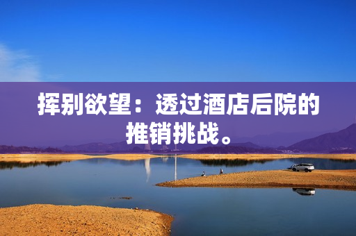 挥别欲望：透过酒店后院的推销挑战。