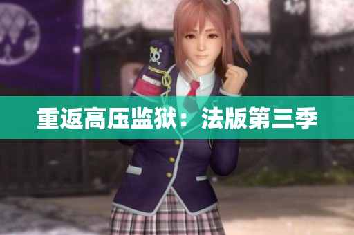 重返高压监狱：法版第三季