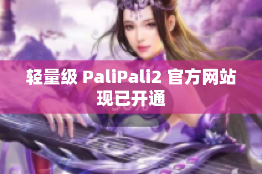 轻量级 PaliPali2 官方网站现已开通