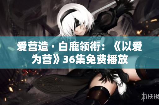 爱营造 · 白鹿领衔：《以爱为营》36集免费播放