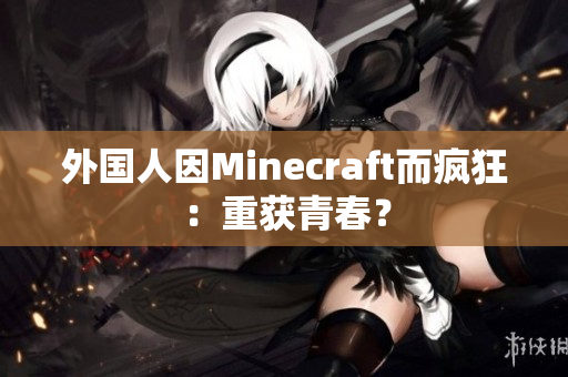 外国人因Minecraft而疯狂：重获青春？
