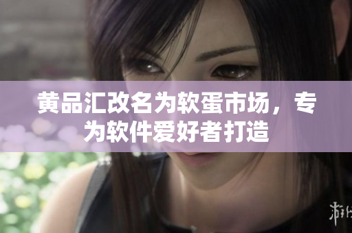 黄品汇改名为软蛋市场，专为软件爱好者打造
