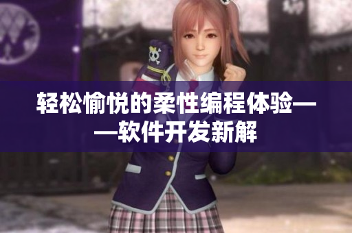 轻松愉悦的柔性编程体验——软件开发新解