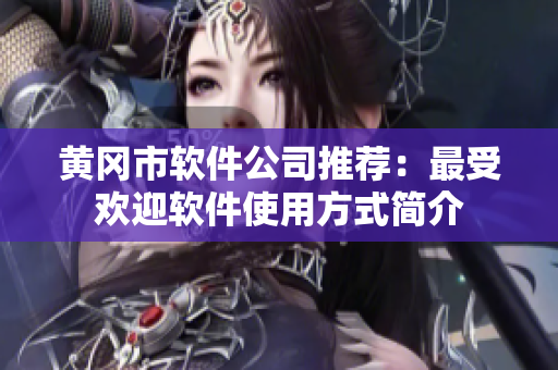 黄冈市软件公司推荐：最受欢迎软件使用方式简介