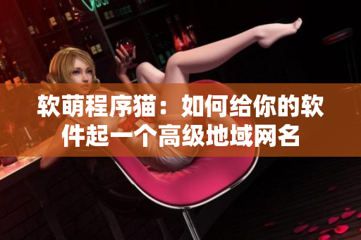 软萌程序猫：如何给你的软件起一个高级地域网名