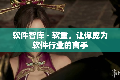 软件智库 - 软重，让你成为软件行业的高手