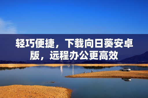 轻巧便捷，下载向日葵安卓版，远程办公更高效