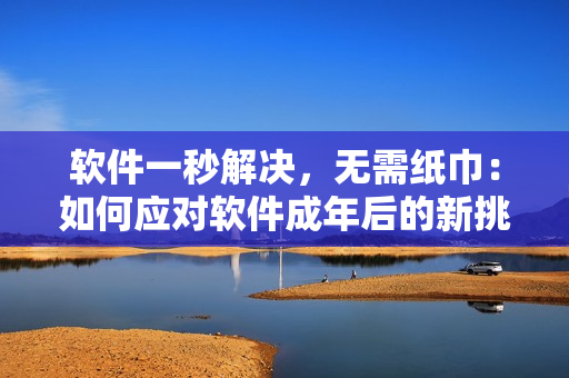 软件一秒解决，无需纸巾：如何应对软件成年后的新挑战？