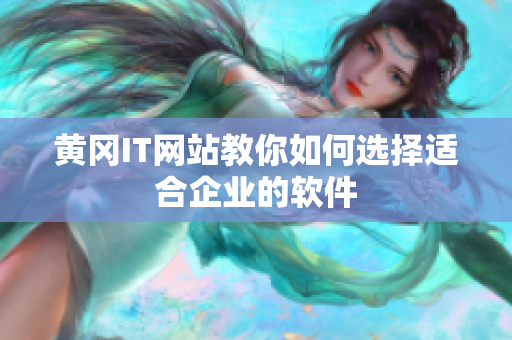 黄冈IT网站教你如何选择适合企业的软件