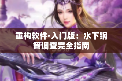 重构软件·入门版：水下钢管调查完全指南