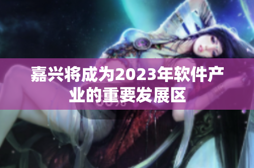 嘉兴将成为2023年软件产业的重要发展区
