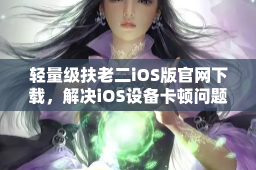 轻量级扶老二iOS版官网下载，解决iOS设备卡顿问题