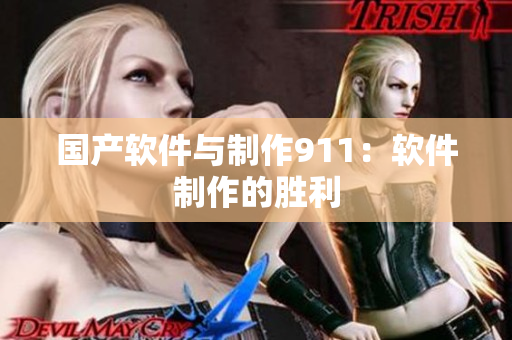 国产软件与制作911：软件制作的胜利