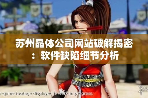 苏州晶体公司网站破解揭密：软件缺陷细节分析