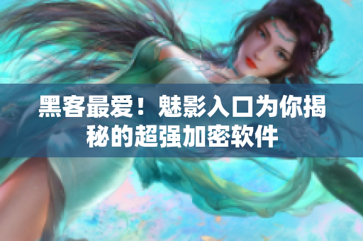 黑客最爱！魅影入口为你揭秘的超强加密软件