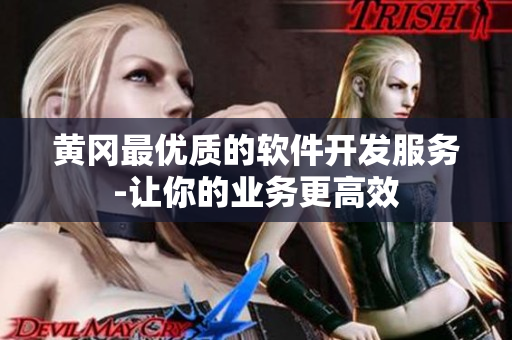 黄冈最优质的软件开发服务-让你的业务更高效