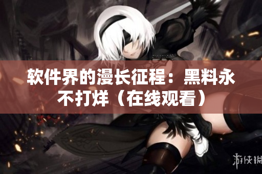 软件界的漫长征程：黑料永不打烊（在线观看）
