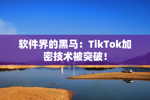 软件界的黑马：TikTok加密技术被突破！