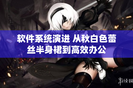 软件系统演进 从秋白色蕾丝半身裙到高效办公