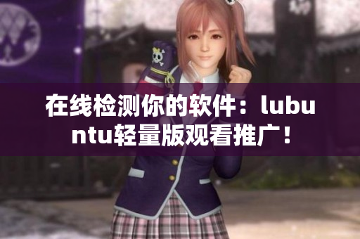 在线检测你的软件：lubuntu轻量版观看推广！