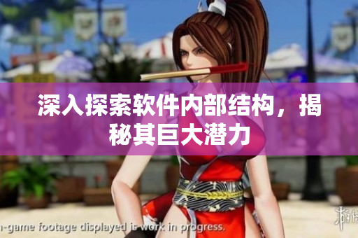 深入探索软件内部结构，揭秘其巨大潜力