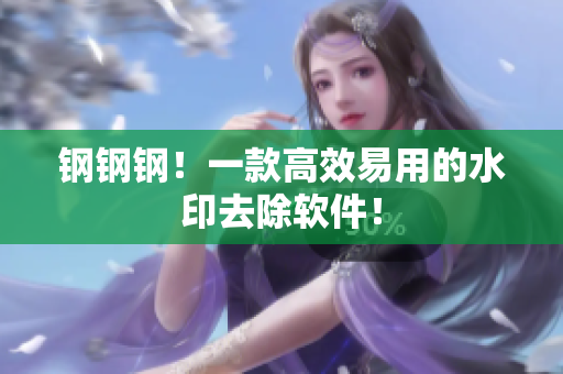 钢钢钢！一款高效易用的水印去除软件！