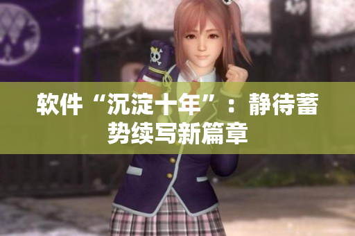 软件“沉淀十年”：静待蓄势续写新篇章