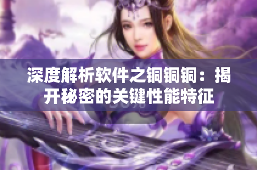 深度解析软件之铜铜铜：揭开秘密的关键性能特征